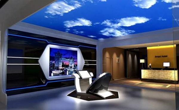 中检河南与河南粮投共商深化大蒜质检合作路径